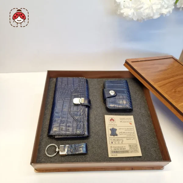 delara roco دلارا روکو سورمه ای