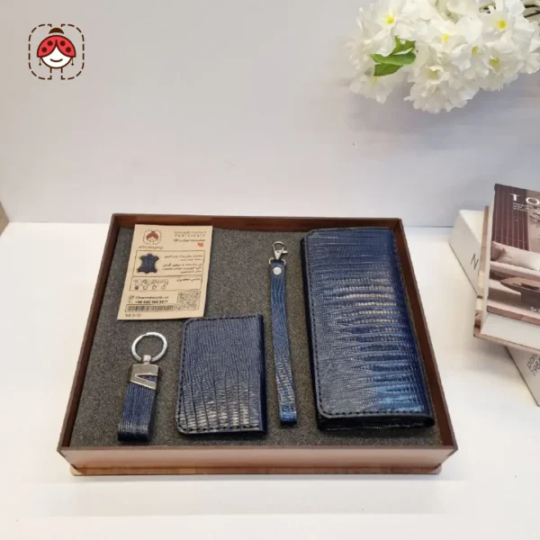 بیتا لیزارد سورمه ای ست بیتا لیزارد سورمه ای